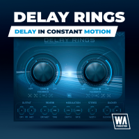 Delay Rings prize